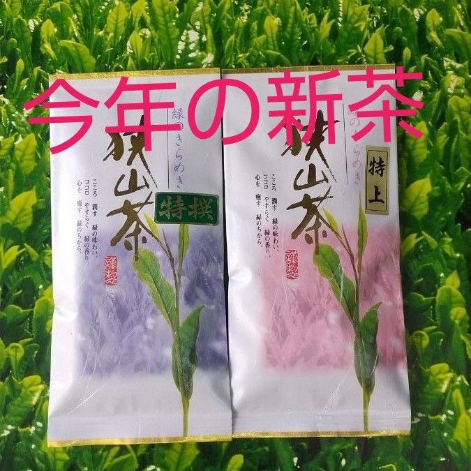 令和６年度産【狭山茶新茶】入荷