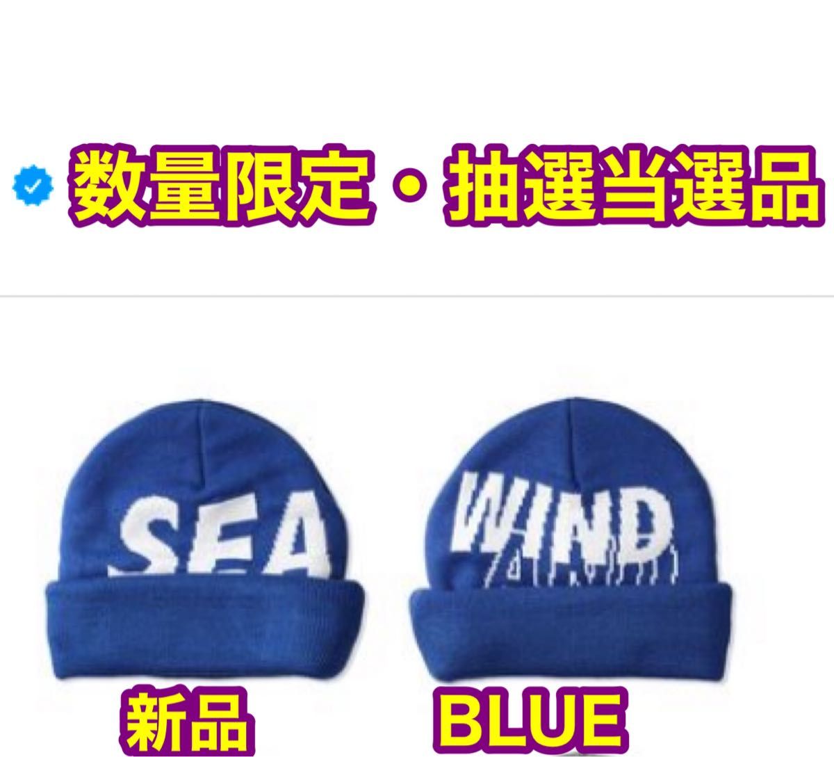 【抽選当選品】WIND AND SEA ウィンダンシー　ブルー　ニットキャップ