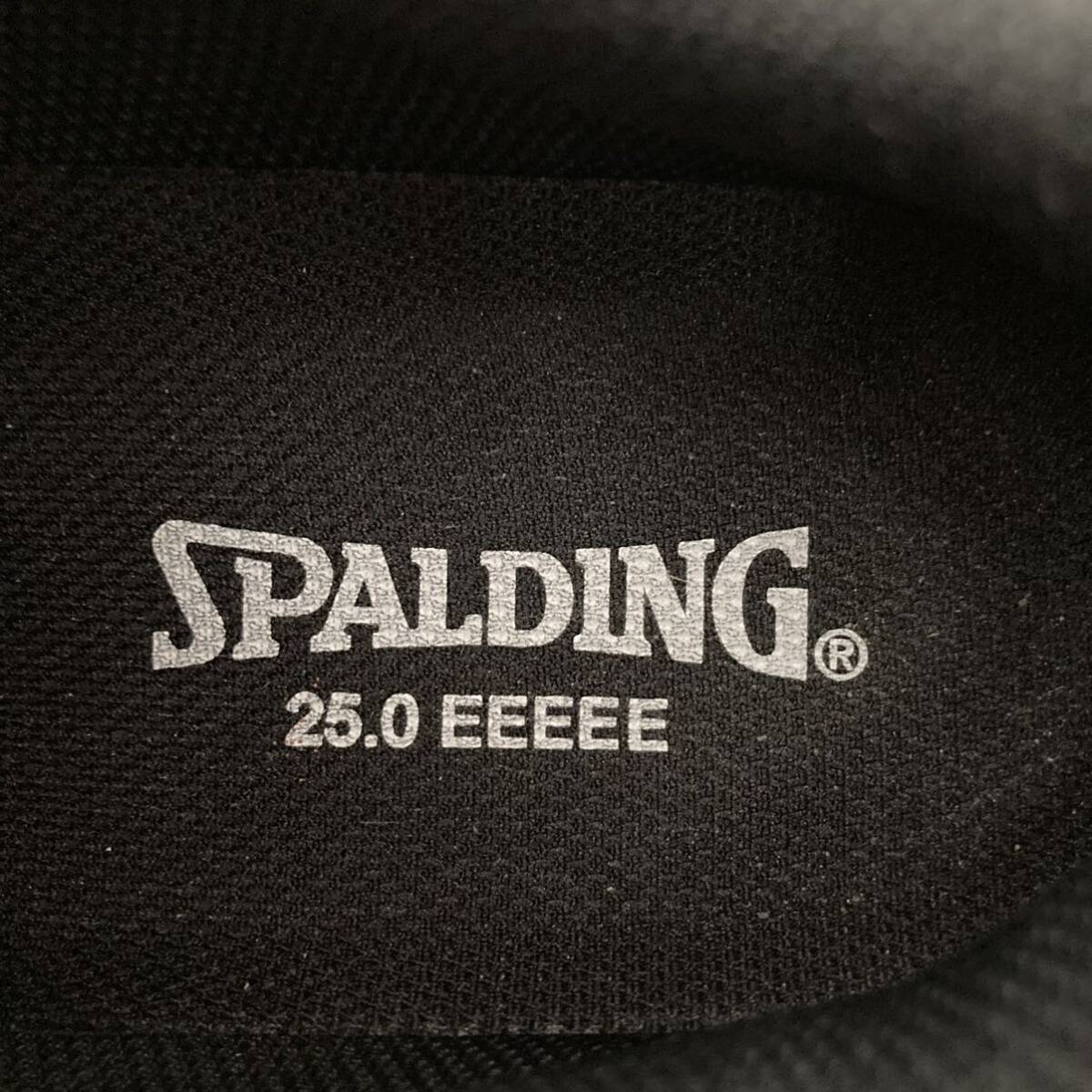 TA■ SPALDING スポルディング スニーカー 幅広 5E 25cm ネイビー/ホワイト ゆったり 履き心地 シューズ ランニング ウォーキング _画像8