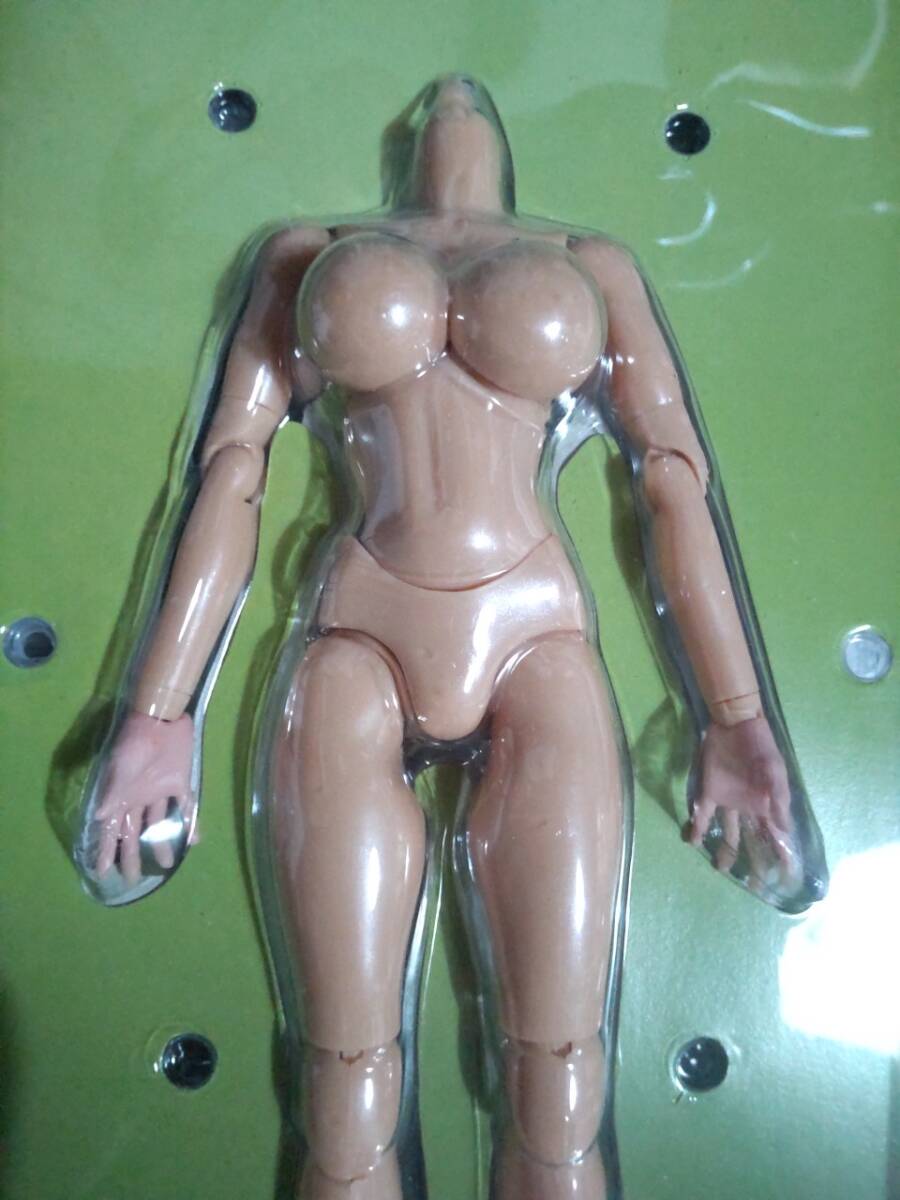 1/6 ラージバストver. トライアドトイズ 女性素体 ALPHA コーカシアン Triad Toys Caucasian Alpha Headless Large Bust Female Body_画像3
