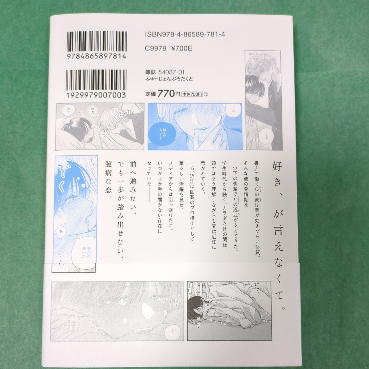【５月新刊】 小嵜 『 ベールブルーと梔子の花束 』　1.7_画像2