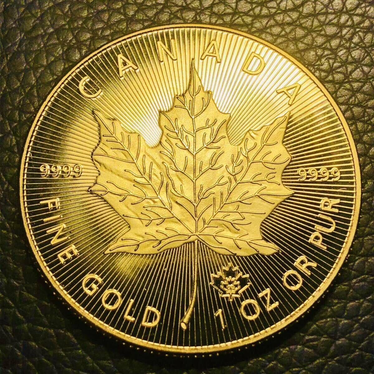 外国古銭 カナダ エリザベス2世記念 2021年 大型金貨 メイプルリーフ金貨 カプセル付きの画像1