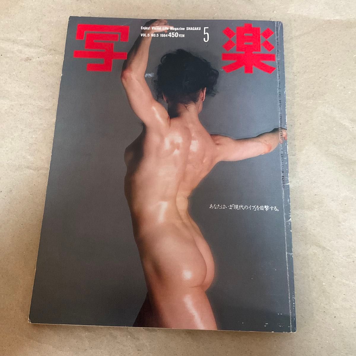 雑誌　写楽　1984年5月　リサ・ライオン　松本小雪　安田成美