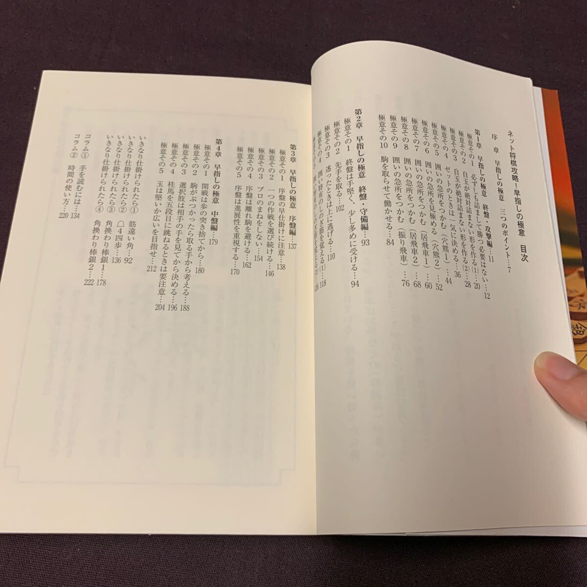 【ネット将棋攻略！早指しの極意】　マイナビ将棋books 大平武洋著　マイナビ　将棋_画像4