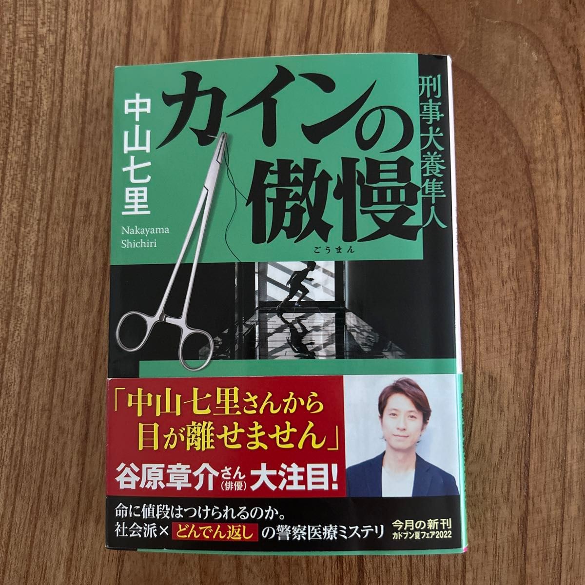 カインの傲慢 （角川文庫　な５７－５　刑事犬養隼人） 中山七里／〔著〕