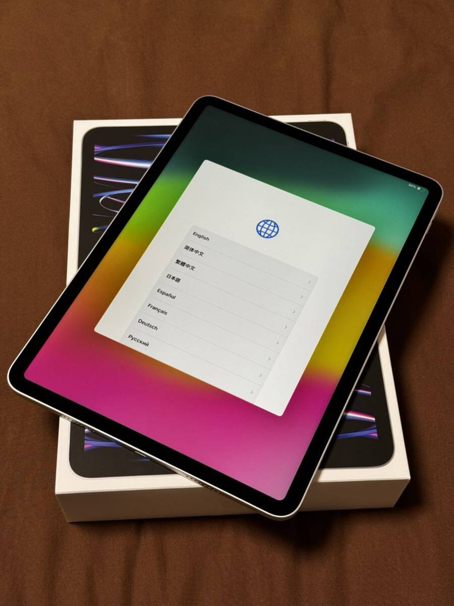 iPad Pro 11インチ Wi-Fi 256GB M2 シルバー 2022年モデル 美品です_画像1