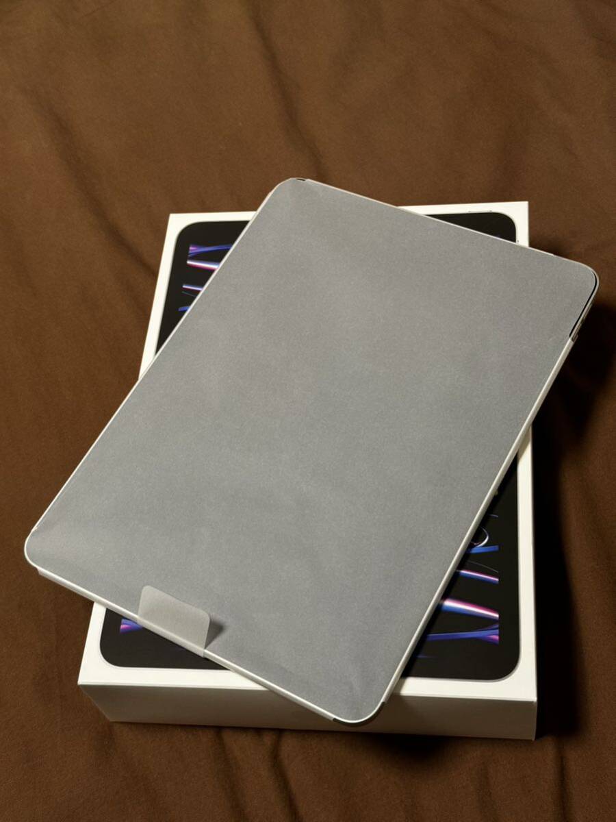 iPad Pro 11 -inch Wi-Fi 256GB M2 silver 2022 year of model beautiful goods 