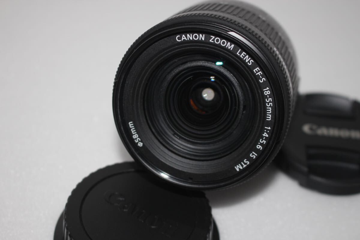 手ぶれ補正付きキャノン　Canon EOS 80Dレンズセット_画像9