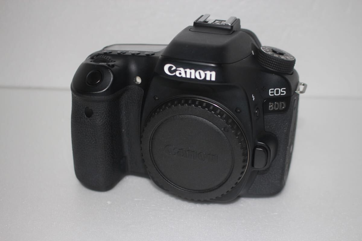 手ぶれ補正付きキャノン　Canon EOS 80Dレンズセット_画像3