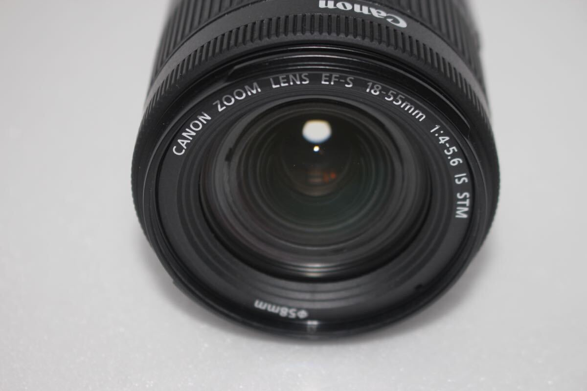 手ぶれ補正付きキャノン　Canon EOS 80Dレンズセット_画像10