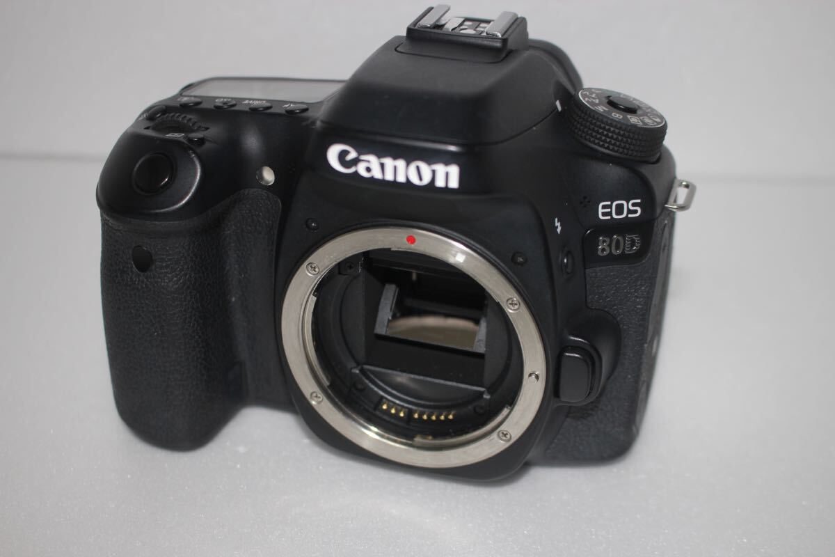 手ぶれ補正付きキャノン　Canon EOS 80Dレンズセット_画像4