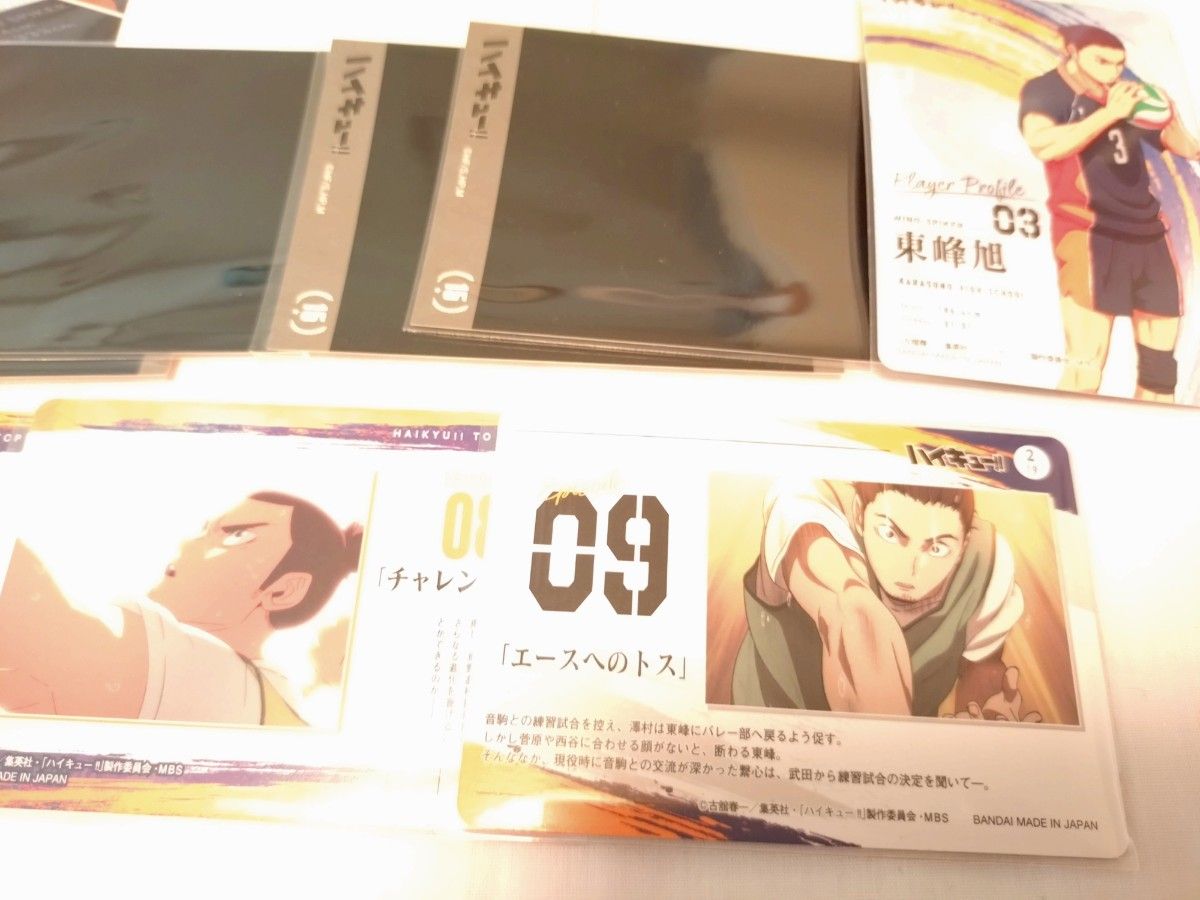 ハイキュー 烏野 3年 澤村大地 菅原孝支 東峰旭 ウエハースカード ぱしゃこれ カード ステッカー