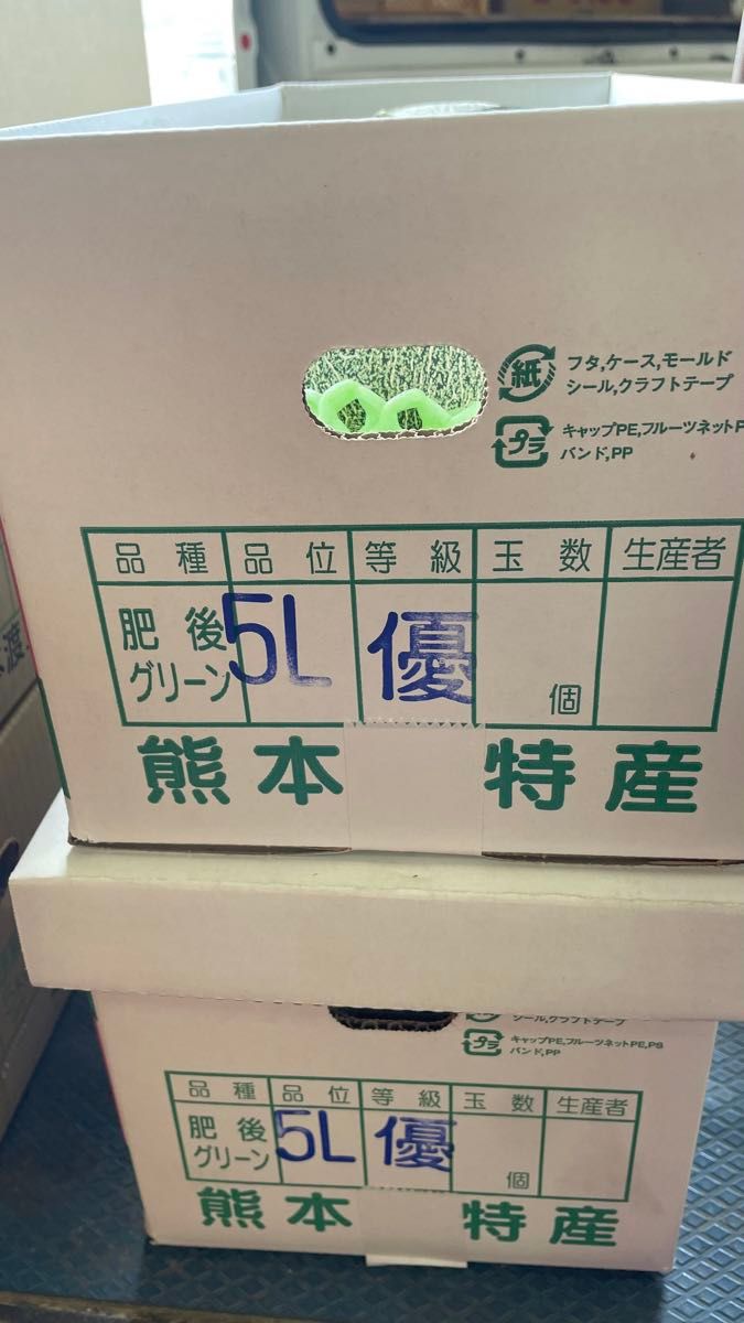 ②  熊本県産　肥後グリン　２玉入　送料込み　箱はメロン箱で発送します。優品ですが綺麗です　限定２箱