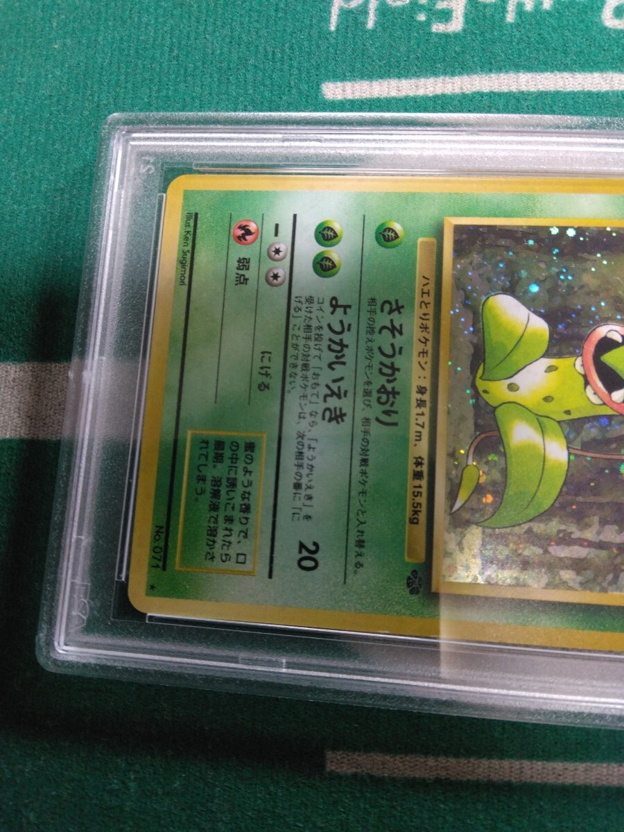 ポケモンカード PSA8ウツボット（ 旧裏・マークあり・ホロ・ジャングル編・1997年発行・PSA日本支社鑑定品）他にも鑑定品出品中の画像4