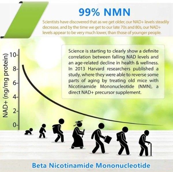 新品未開封 NMN βニコチンアミドモノヌクレオチドパウダー