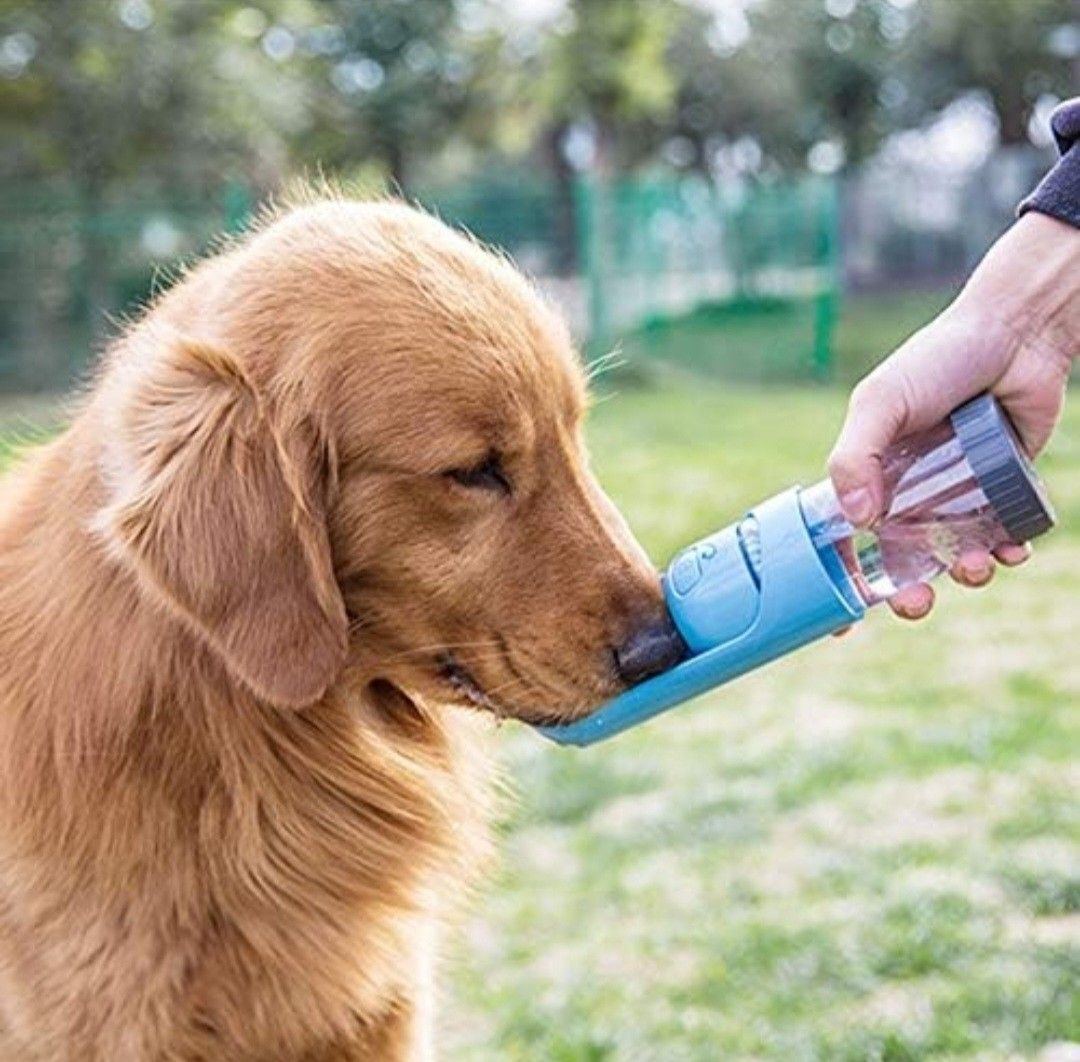 ペット用　ウォーターボトル　替フィルター　2個　セット　活性炭　浄水機能　給水器　犬　散歩　ウォーキング　ランニング　持ち運び