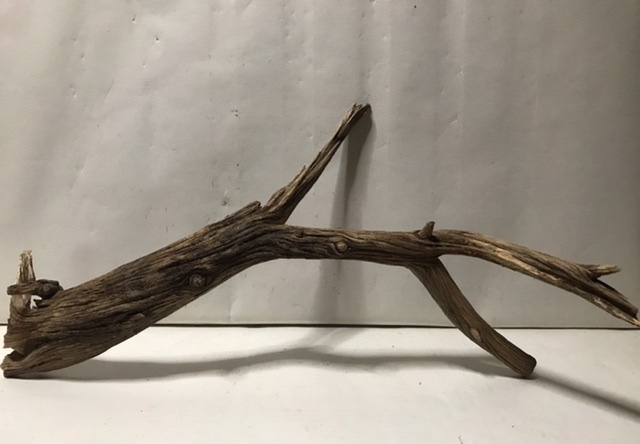 S14[ prompt decision ]. water has confirmed natural fresh water driftwood 2 pcs set .. disinfection .. driftwood aquarium aquarium terrarium reptiles insect objet d'art 