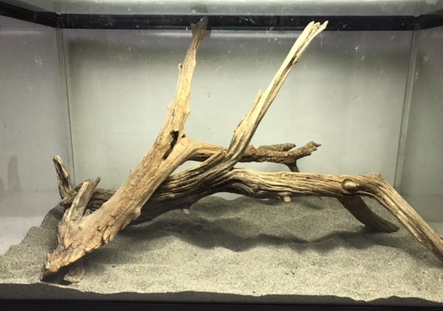 S14[ prompt decision ]. water has confirmed natural fresh water driftwood 2 pcs set .. disinfection .. driftwood aquarium aquarium terrarium reptiles insect objet d'art 