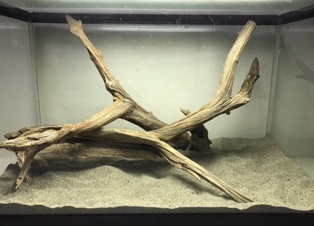 S14[ prompt decision ]. water has confirmed natural fresh water driftwood 2 pcs set .. disinfection .. driftwood aquarium aquarium terrarium reptiles insect objet d'art 