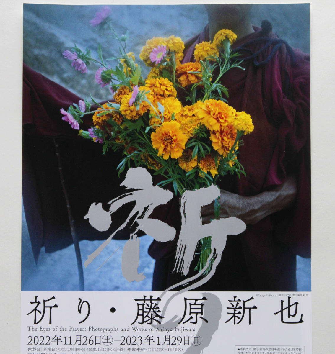 藤原新也★写真展★祈り・藤原新也★世田谷美術館★2022年11月26日～2023年1月29日まで開催★開催Ａ4チラシ★6枚セット★送料140円から_画像4