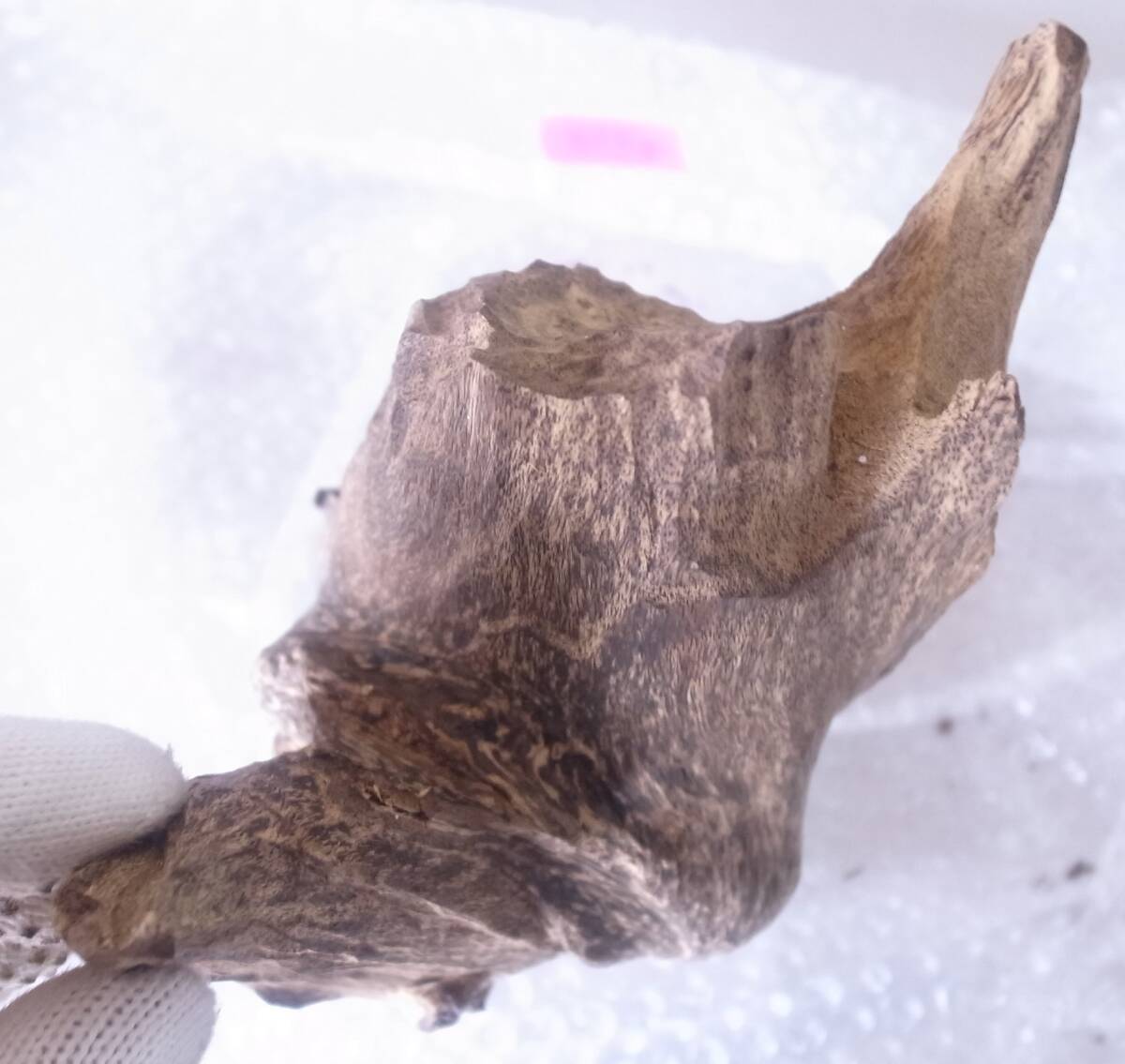 巡寶堂】K07 香木 伽羅 沈香 白檀 約613g 縦:約31.0cm 横:約 巡寶堂】K07 香木 伽羅 沈香 白檀 約613g 縦:約31.0cm 横:約