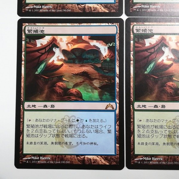 sB446o [人気] MTG 繁殖池 Breeding Pool ギルド門侵犯 GTC 土地 R レア 日本語版 計4枚の画像5