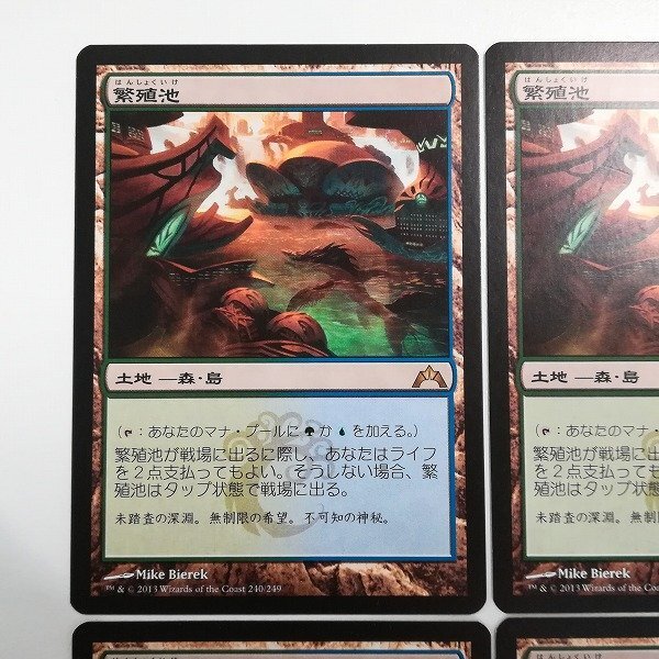 sB446o [人気] MTG 繁殖池 Breeding Pool ギルド門侵犯 GTC 土地 R レア 日本語版 計4枚の画像3