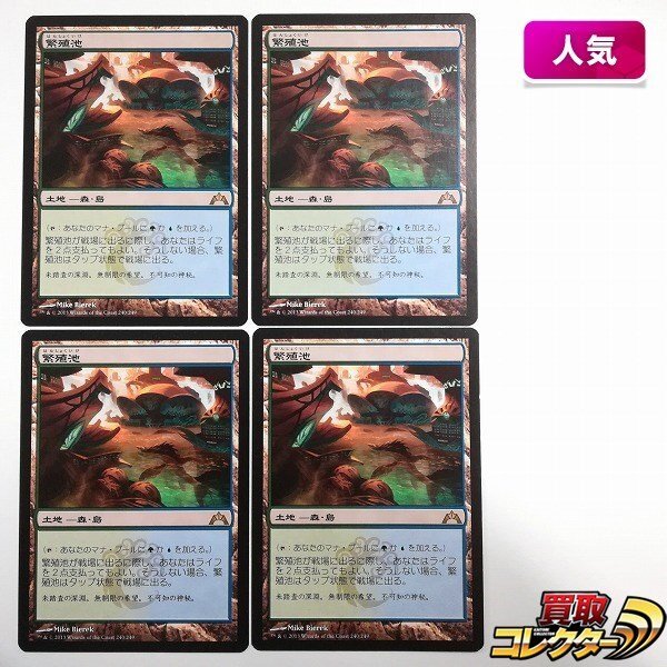 sB446o [人気] MTG 繁殖池 Breeding Pool ギルド門侵犯 GTC 土地 R レア 日本語版 計4枚の画像1