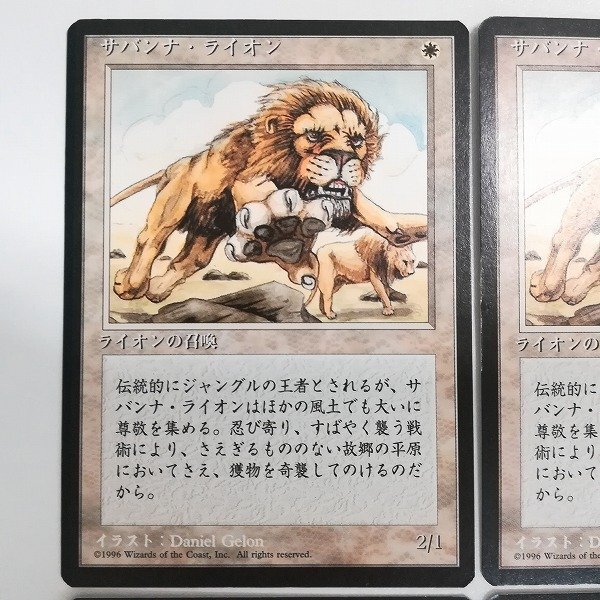 sB505o [人気] MTG サバンナ・ライオン Savannah Lions 第4版 黒枠 4ED 日本語版 計4枚_画像3