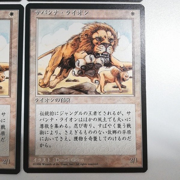 sB505o [人気] MTG サバンナ・ライオン Savannah Lions 第4版 黒枠 4ED 日本語版 計4枚_画像6