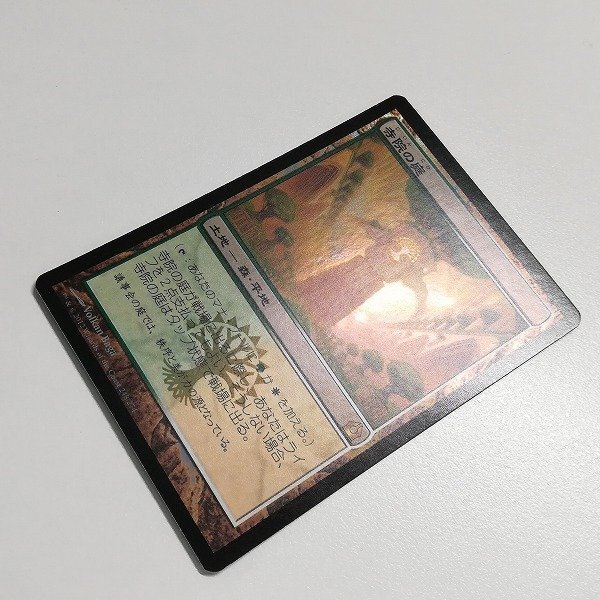 sB513o [人気] MTG Foil 寺院の庭 Temple Garden 神聖なる泉 Hallowed Fountain ラヴニカへの回帰 RTR 日本語版 計2枚_画像4