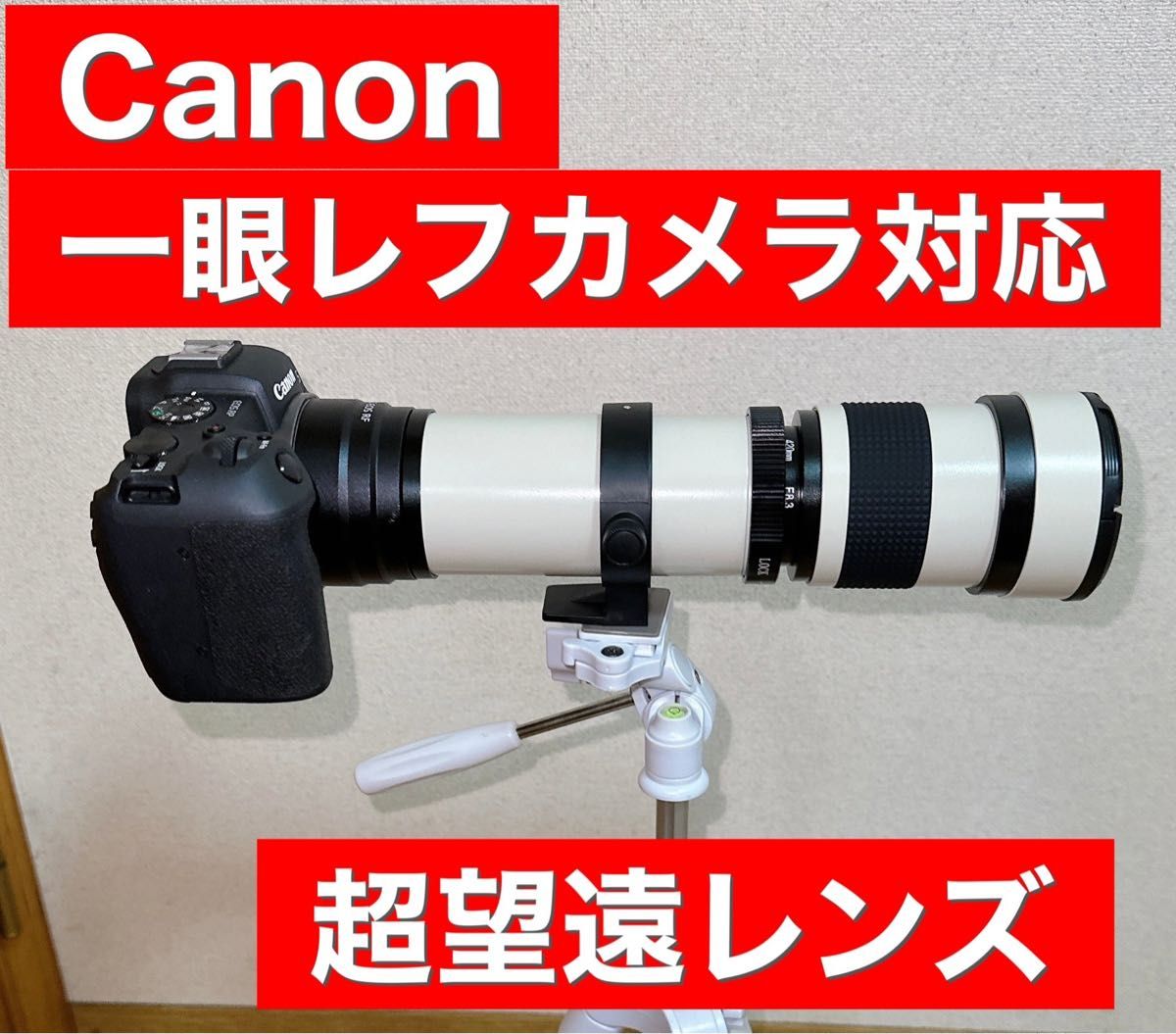 Canon一眼レフをお持ちの方におすすめ！ズームレンズ！カメラ初心者サポート付き！望遠レンズ！袋付き！一年365日サポート