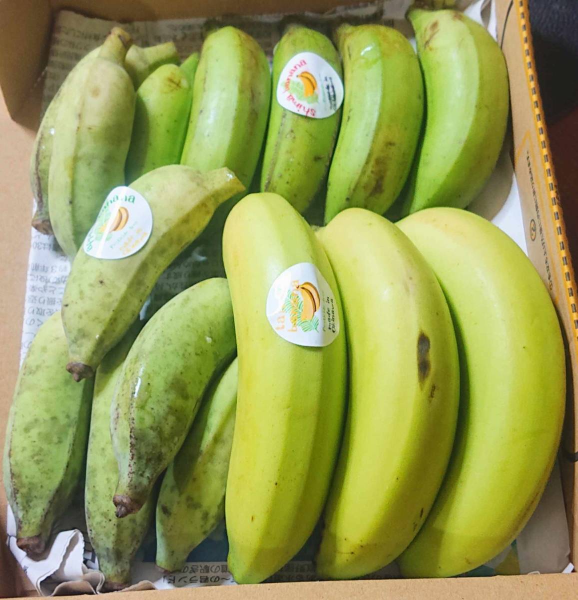   Окинава  главный остров  ...！ популярный     японского производства  Banana  ３ вид  ！...！３ вид   Banana   комплект  ！