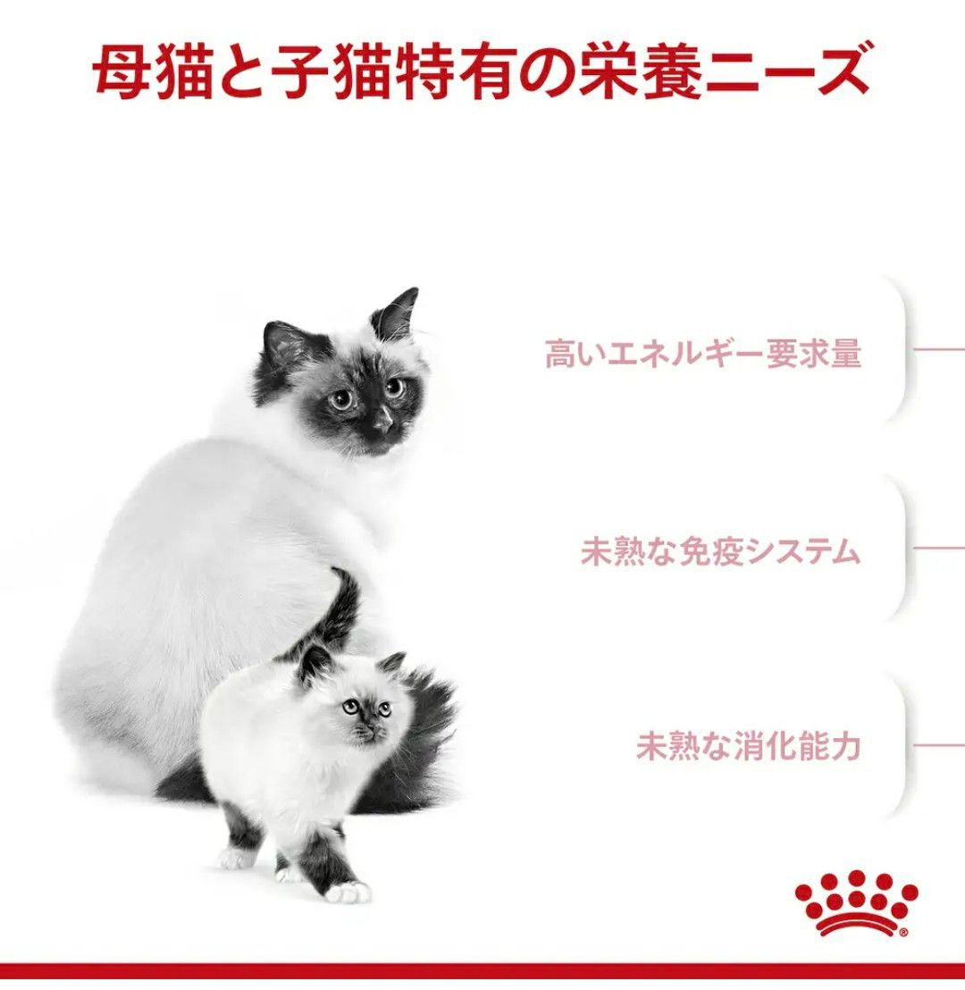 ロイヤルカナン　マザー＆ベビー　 子猫 　成長前期