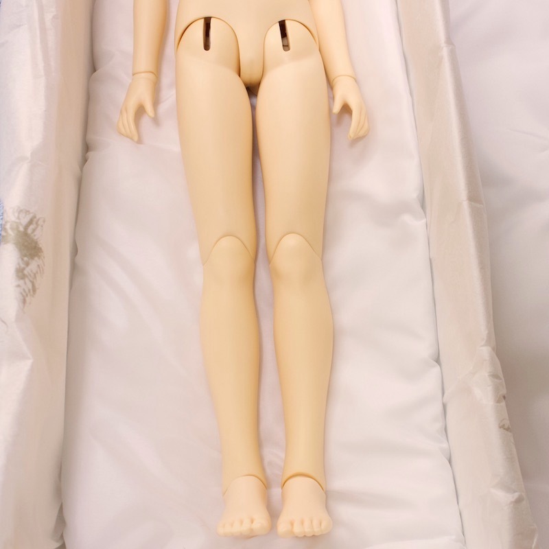 [ SDe Rena SD F-42 head & SD13 girl young lady body fea.& doll I & vanity case &. futon 2 sheets ] balk s Super Dollfie 