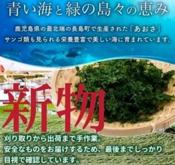 4月22日収穫終了 鹿児島県長島町産 あおさ  あおさのり  乾燥あおさ