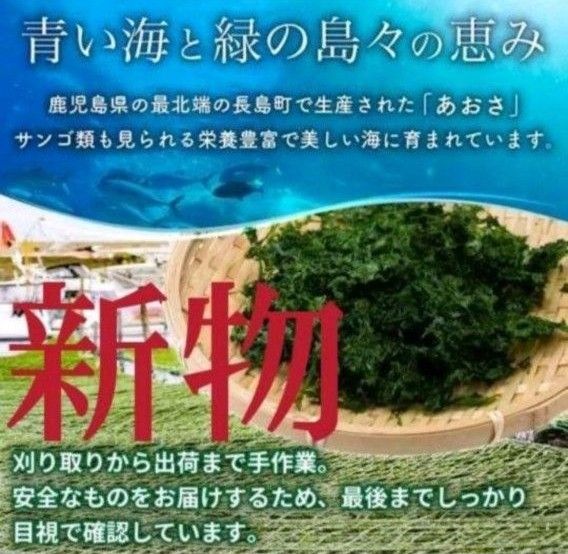 4月22日収穫終了 鹿児島県長島町産 あおさ  あおさのり  乾燥あおさ