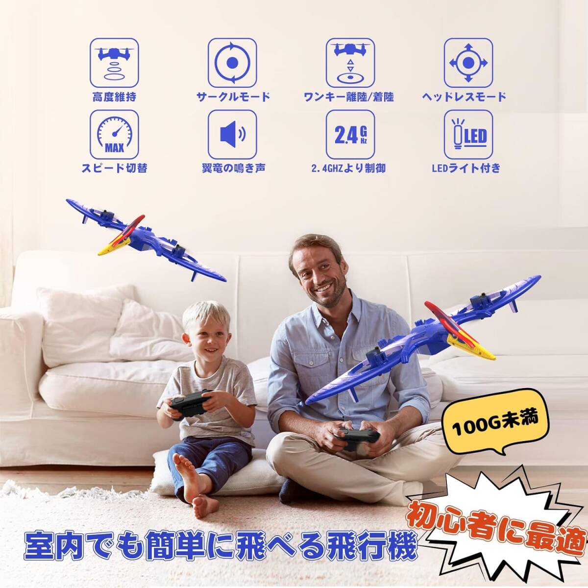  wing dragon radio controlled airplane one key . land / put on land / automatically high-quality maintenance cool .LED light 100g under light weight durability domestic certification ending 