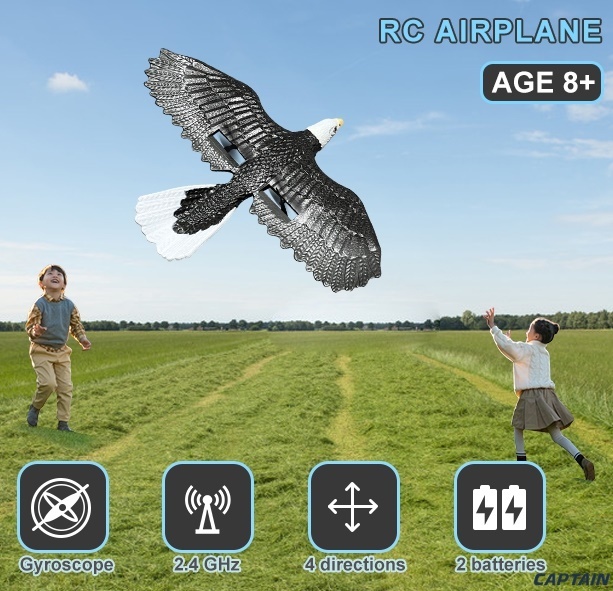  remote control Eagle s control . easy child . beginner therefore. RC glider 2 channel remote control 2.4GHz radio controlled airplane hand throwing . land 