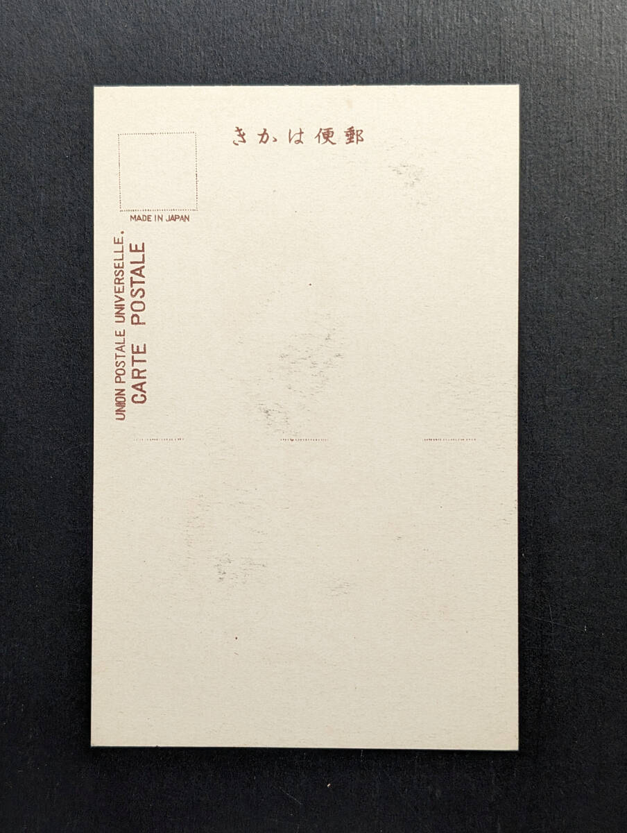 絵葉書　絵はがき　古写真　戦前　美人　明治　大正　7-902　検）芸妓　芸者　舞妓　花魁　遊女　女優　ブロマイド　手彩色_画像2