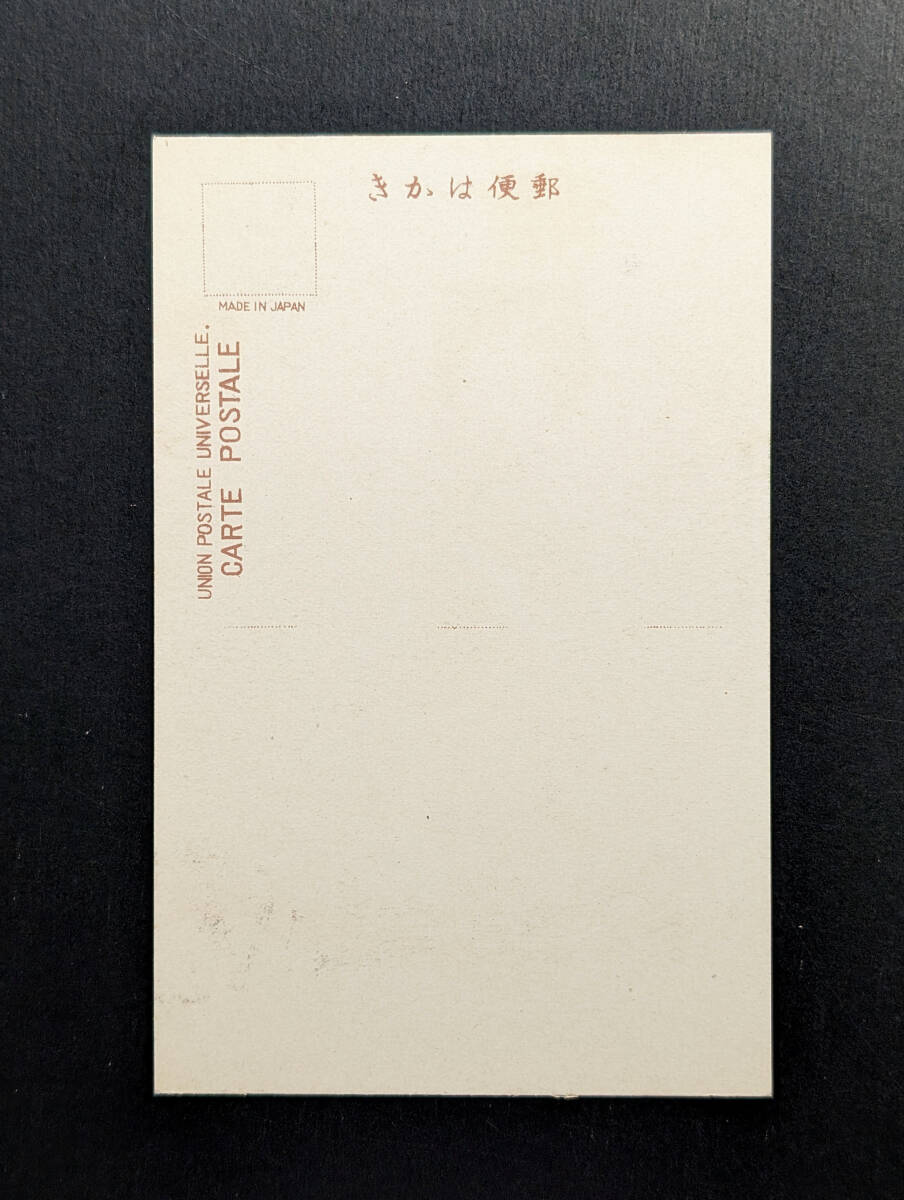 絵葉書　絵はがき　古写真　戦前　美人　明治　大正　7-924　検）芸妓　芸者　舞妓　花魁　遊女　女優　ブロマイド　手彩色_画像2