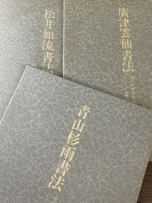 《現代日本書法集成 おまとめ4冊セット 青山杉雨/松井如流/村上三島書法/廣津雲仙書法》函付き 現状品 書_画像4