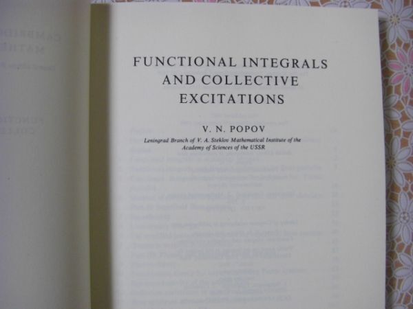  physics foreign book Functional integrals and collective excitations. number piled minute . compilation ...V.N. Popov Victor * Nicola e vi chi*popofA28