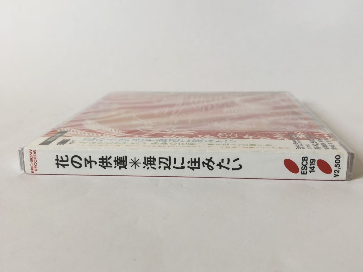 未開封 見本盤/ 花の子供達 海辺に住みたい オムニバス 渡辺満里奈 佐野元春 岡村靖幸 大江千里 SHAMROCK 鈴木雅之 上々颱風 他_画像3