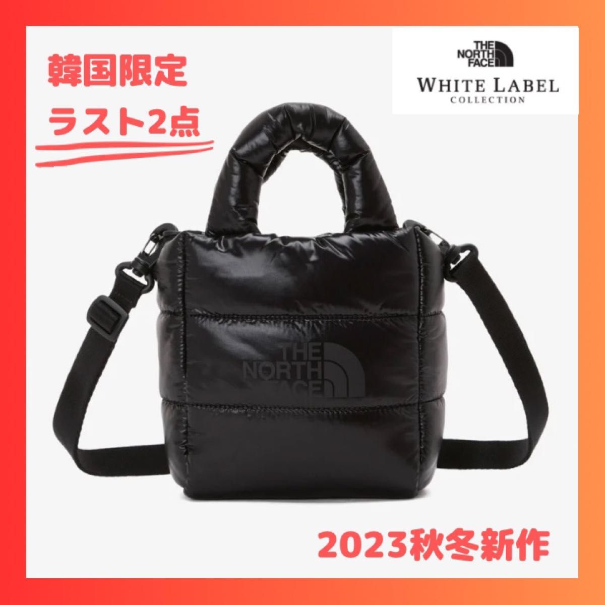 日本未発売　ノースフェイス ショルダーバッグ PLUMPY TOTE BAG