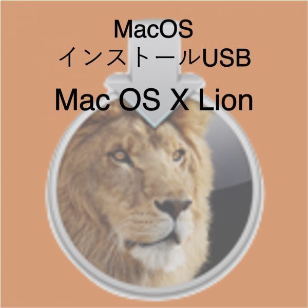 (v10.07) Mac OS X Lion インストール用USB [2]