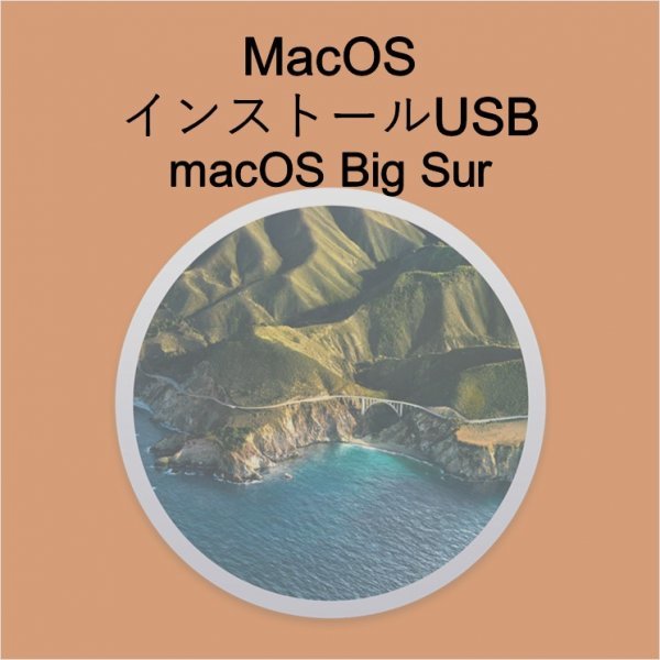 (v11) macOS Big Surインストール用USB [1]_画像1