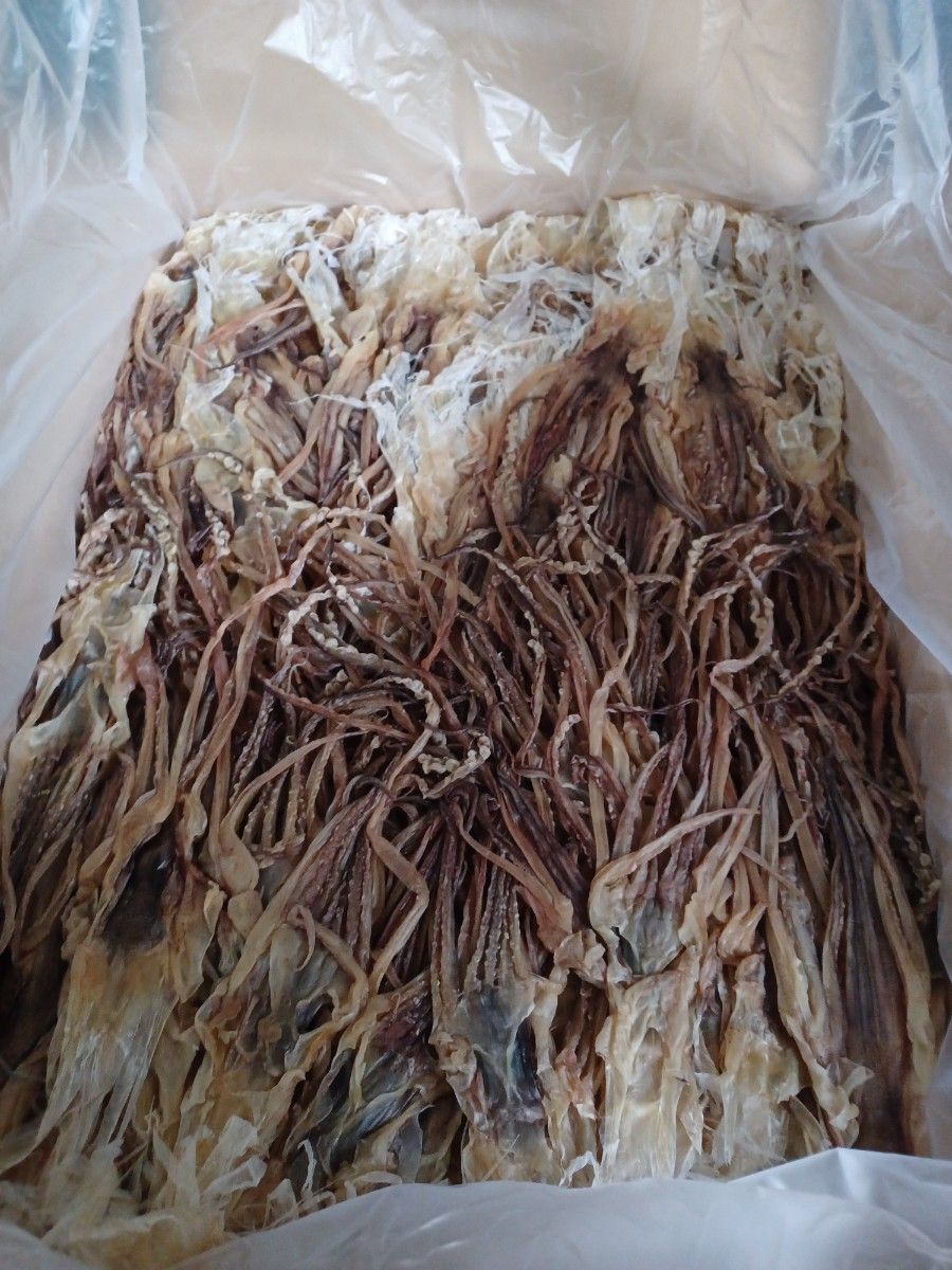 早い者勝ち限定1個 真イカするめS足【10kg 】|Yahoo!フリマ(旧 早い者勝ち限定1個 真イカするめS足【10kg 】|Yahoo!フリマ(旧