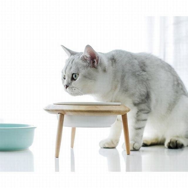  height angle adjustment bird table dog bird table cat plate water .. vessel cat bait inserting tableware ceramics heating possible 