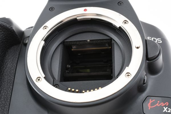 動作確認済 Canon EOS kiss X2 Body AF SLR Digital Camera ボディ デジタル一眼レフカメラ / キヤノン EF Mount APS-C 充電器付 #3151の画像10